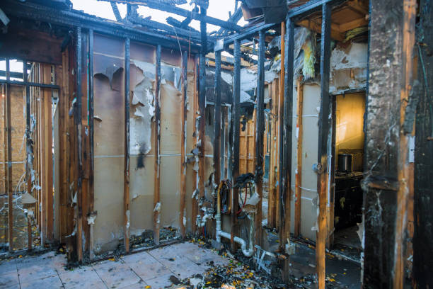 Professional Fire Damage Removal technician working in Carnesville, GA